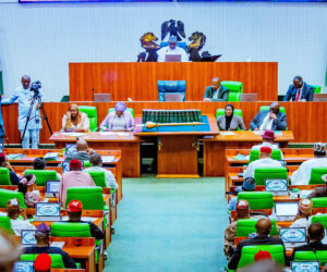 Reps Probe Alleged Mismanagement of Niger Delta Oil Spill Clean-up Funds