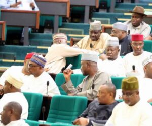 House of reps condemns US bill alleging genocide against Christians in Nigeria