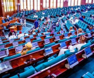 Reps push for 20% limit on annual rent increase as Nigerians grapple with soaring housing costs