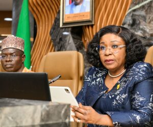 FG Flags Off Personnel Audit, Skills Gap Analysis In Civil Service