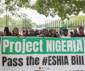 Nigeria @ 65: Expert Seeks New Laws For Environment, Citizens’ Protection