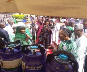 FCTA Launches Free Mother–Baby Kits, Clean Cooking Project – Independent Newspaper Nigeria