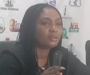 We Must Take Ownership Of The Future With Pride, Says NiDCC President/CEO – Independent Newspaper Nigeria