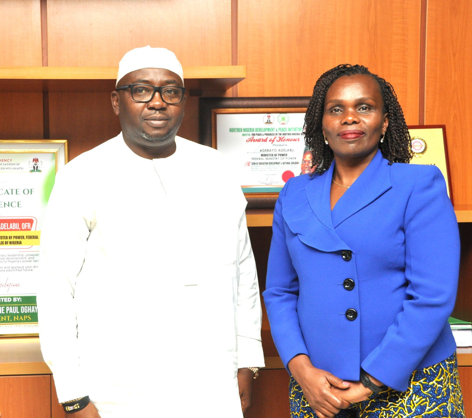 Global Energy Alliance commends FG over Mission 300 targets, policy reforms, grid expansion