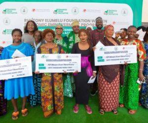 RHI, Foundation Unveil N25m Recapitilisation Grant For 500 Women In FCT