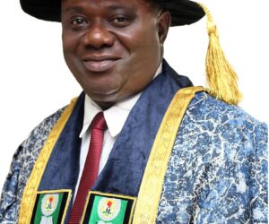 Ebonyi indigene emerges new NOUN VC