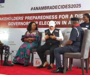 Anambra Election: I’m Not Under Pressure To Deliver Anybody, Says REC
