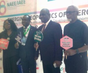 Africa’s Energy Fate Rests On Policies Balancing Access, Climate, Justice, NAEE Boss Warns
