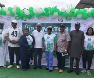 NITP Calls For Abuja Master Plan Restoration