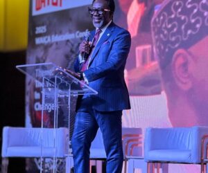 NAICOM Advocates Stronger Financial Tools For Proactive Climate Risk Management