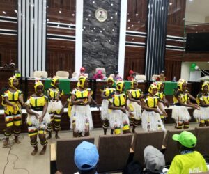 IDGC: FG assures quality education for the girl child