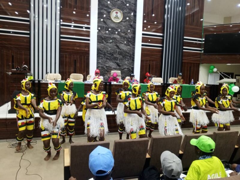 IDGC: FG assures quality education for the girl child