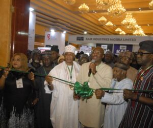 UNIDO Hinges Nigeria’s First Policy On Coordinated National Action