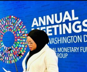 Nigerian Lawyer Seeks Governance-led Approach To End Youth Unemployment At 2025 WBG/IMF Meetings