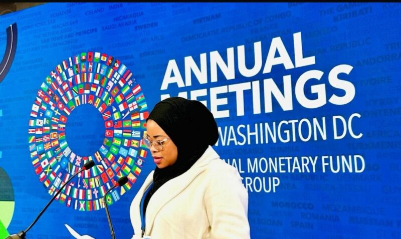 Nigerian Lawyer Seeks Governance-led Approach To End Youth Unemployment At 2025 WBG/IMF Meetings
