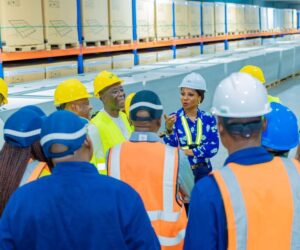 South-South Commission, LPV Technologies Partner On Youth Training, Solar Access