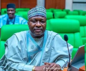 Rep Kalambaina And His Rare Parliamentary Leadership