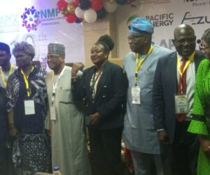 State Ownership Of DisCos Unsustainable, Former NERC Boss Declares