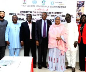 FG Reiterates Commitment To Enhancing Mercury-free Gold Mining In Nigeria