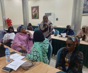 CDC: Global Rights mentors Kaduna women leaders on peace guiding