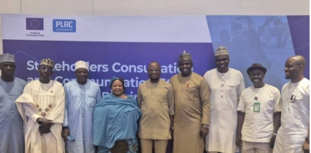 PLAC, EU, Media, CSOs Rally Support For Passage Of Special Seats Bill