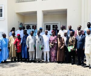 Ex-deputy Governors Form Committee To Review Renewed Hope Implementation