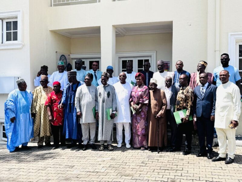 Ex-deputy Governors Form Committee To Review Renewed Hope Implementation