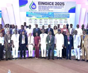 Experts Advocate Gas-based Industrialisation For Africa’s Growth
