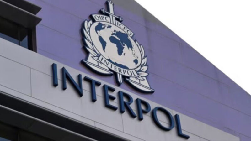 INTERPOL arrests 11 ‘high-level’ members of terrorist groups in Nigeria