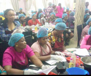 IWEI Empowers Over 500 Women, Youths With Skills In Abia