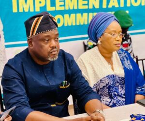 Ogun’s Ibeman emerges Chairman, Forum of Majority Leaders in South-West