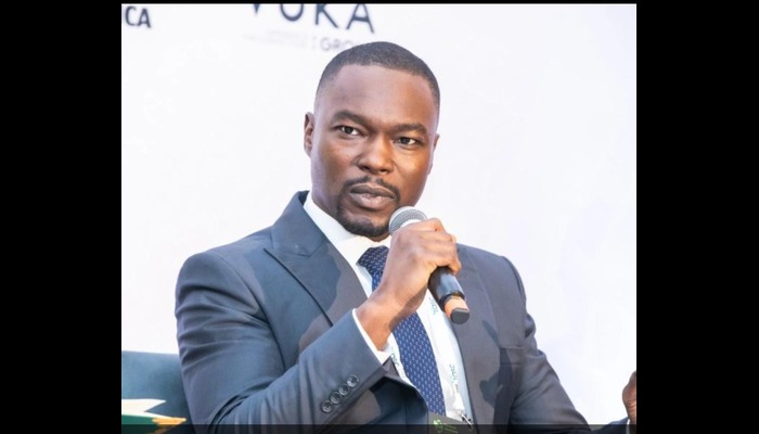 Africa poised to benefit from global carbon trade, says Shelleng