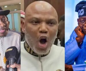 Ex-President Jonathan promises to meet Tinubu over Nnamdi Kanu’s release – Sowore