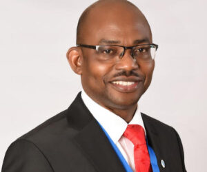 Making Nigeria’s voice heard in IFRS S1 & S2 sustainability standards, By Innocent Okwuosa