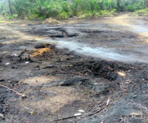 Reps panel vows accountability in Niger Delta oil spill clean-up probe