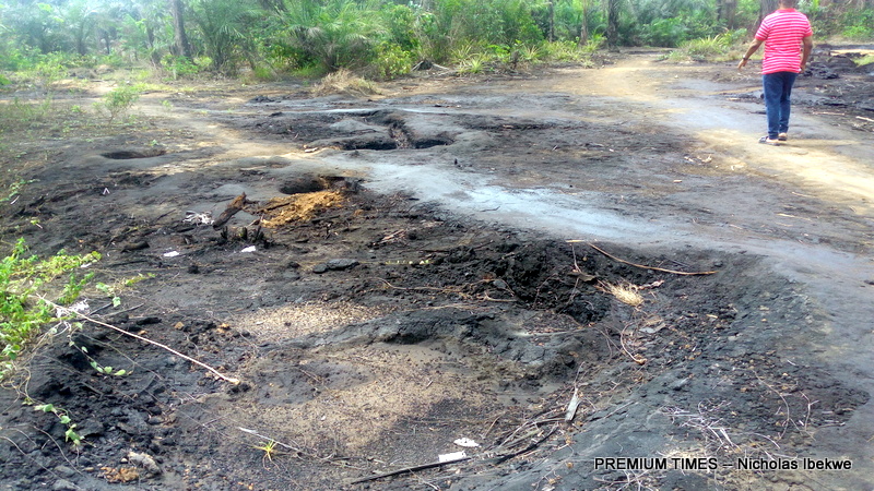 Reps panel vows accountability in Niger Delta oil spill clean-up probe