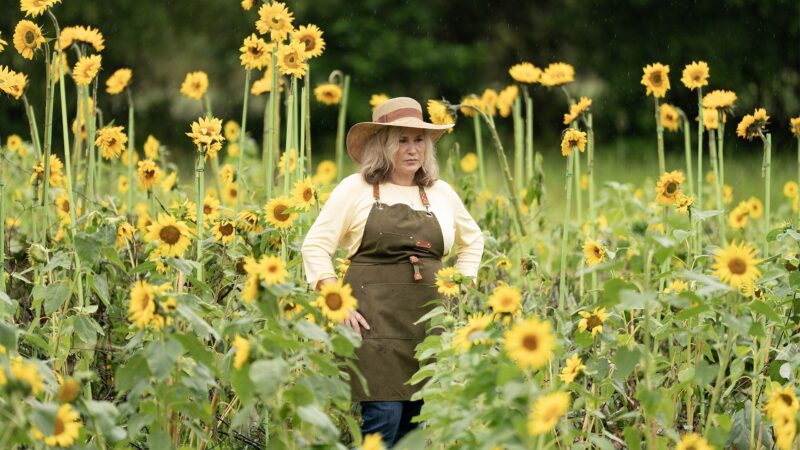 What are the release dates of Murdaugh: Death in the Family episodes on Hulu and Disney+?