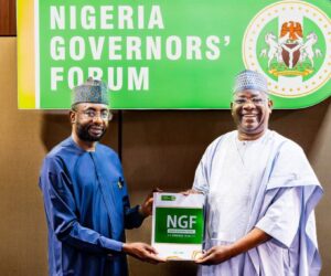 NITDA DG Rallies Governors to Fast-Track Tech-Driven Growth across States | Tech | Business