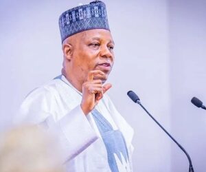 Nigeria Targeting $410bn Renewable Energy Investment By 2060 – Arise News