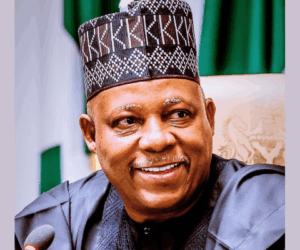 FG seals $435m agreement to boost renewable energy development nationwide