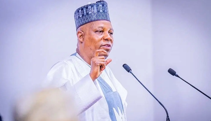 Nigeria Targeting $410bn Renewable Energy Investment By 2060 – Arise News