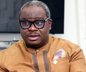 States lack resources to build electricity infrastructure – Adesina