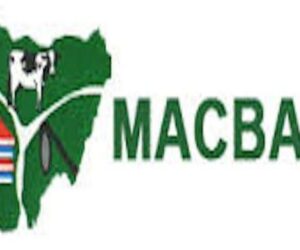 Fulani Herders Lament Exclusion From Livestock Ministry