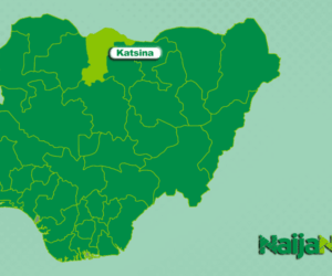 Katsina Shuts Down Illegal Private Tertiary Institutions