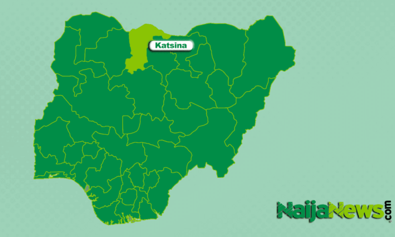 Katsina Shuts Down Illegal Private Tertiary Institutions