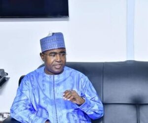 Cannabis oil export for foreign earnings allowed, local use forbidden – NDLEA 