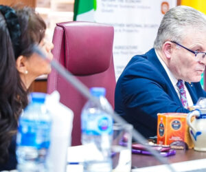 German Chamber Delegation To Visit Nigeria To Boost Bilateral Ties, Vocational Training – Arise News