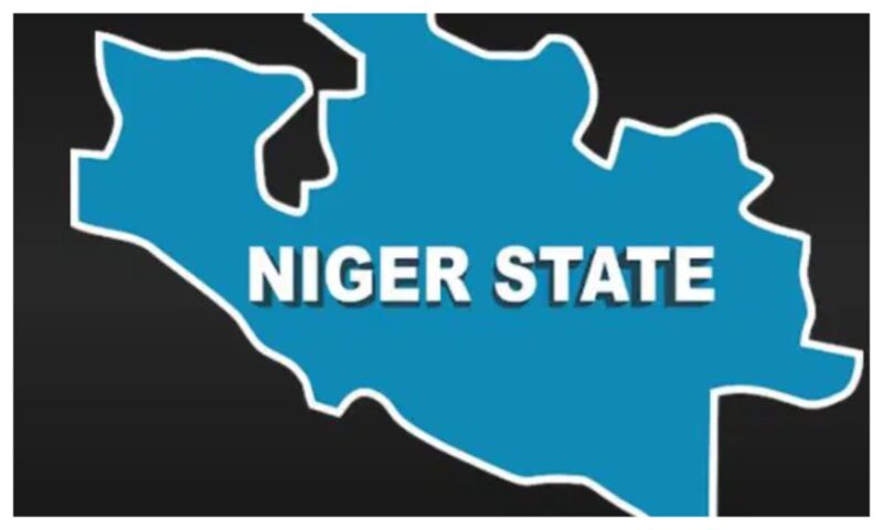 Police confirms abduction of radiographer, others in Niger