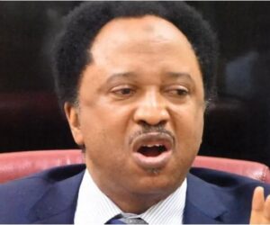 “80 Percent Of Every Administration’s Four-year Term Is Spent Preparing For Another Election” – Shehu Sani