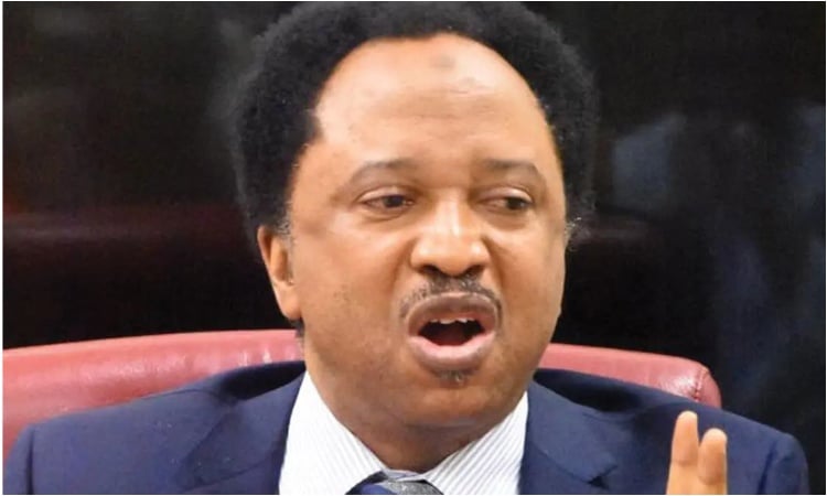 “80 Percent Of Every Administration’s Four-year Term Is Spent Preparing For Another Election” – Shehu Sani